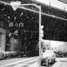 真っ白な街 (Pure White City)