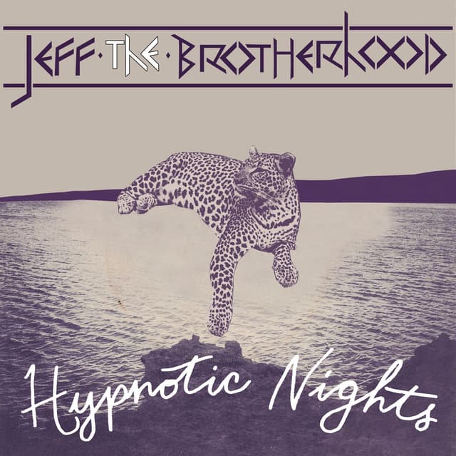 Album cover art for Hypnotic Nights