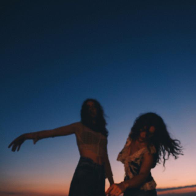 Album cover art for Flight Risk