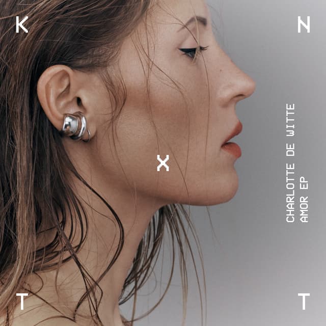 Album cover art for Amor