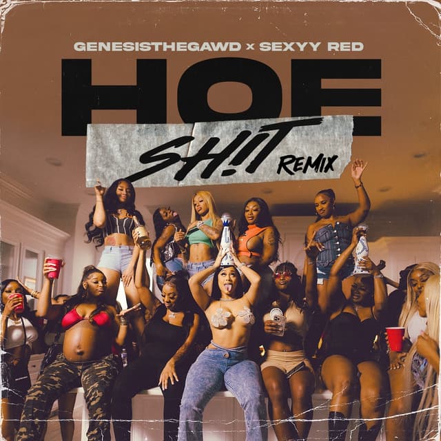 Album cover art for Hoe Shit