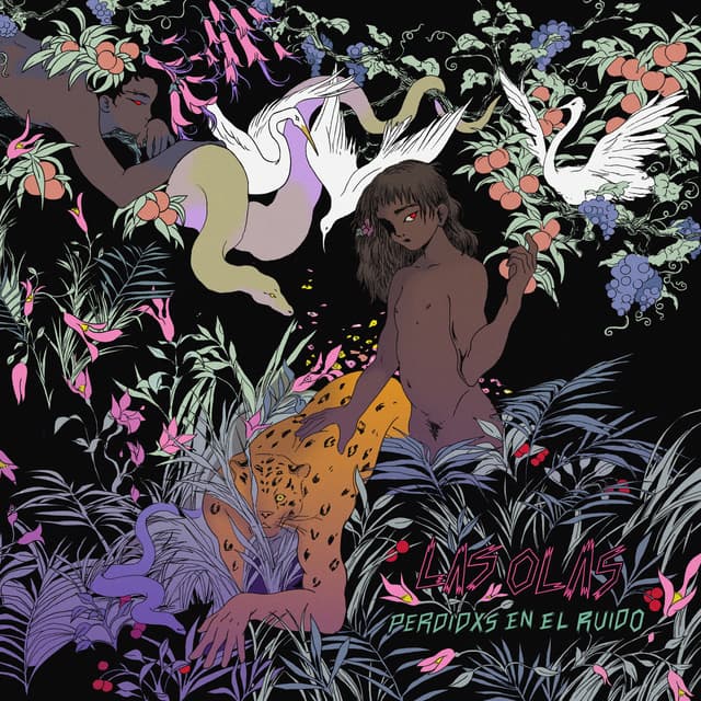 Album cover art for Perdidxs en el ruido