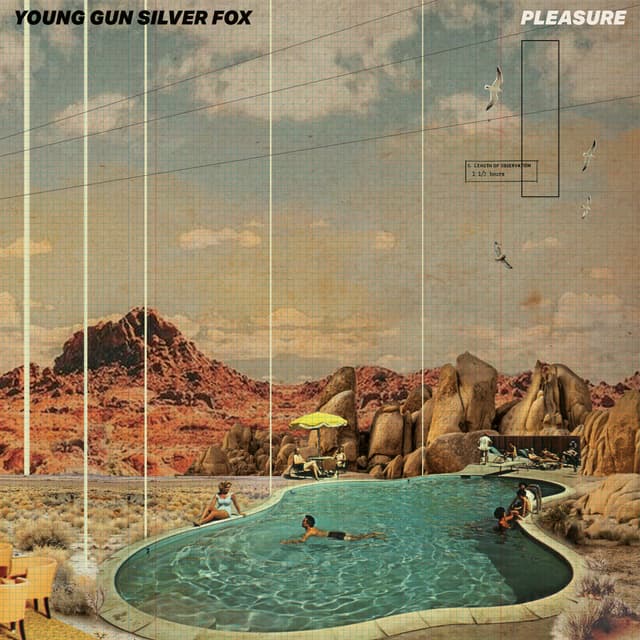 Album cover art for Pleasure