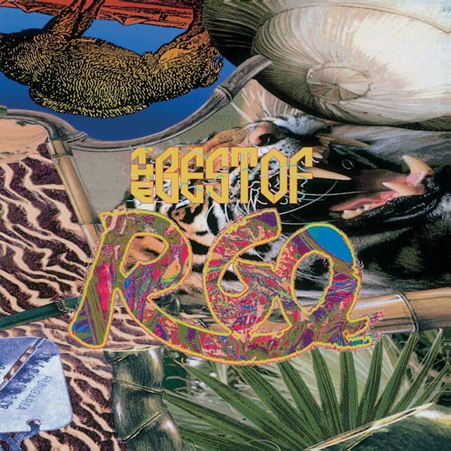 Album cover art for The Best Of R-Go