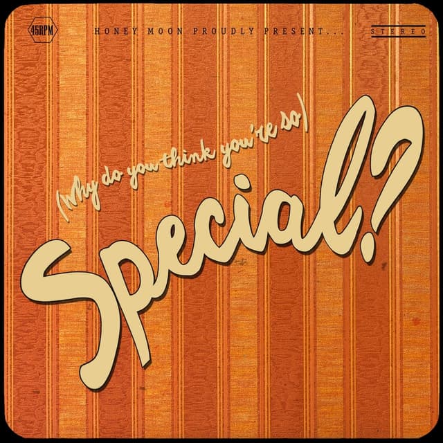 Album cover art for (Why Do You Think You're So) Special?