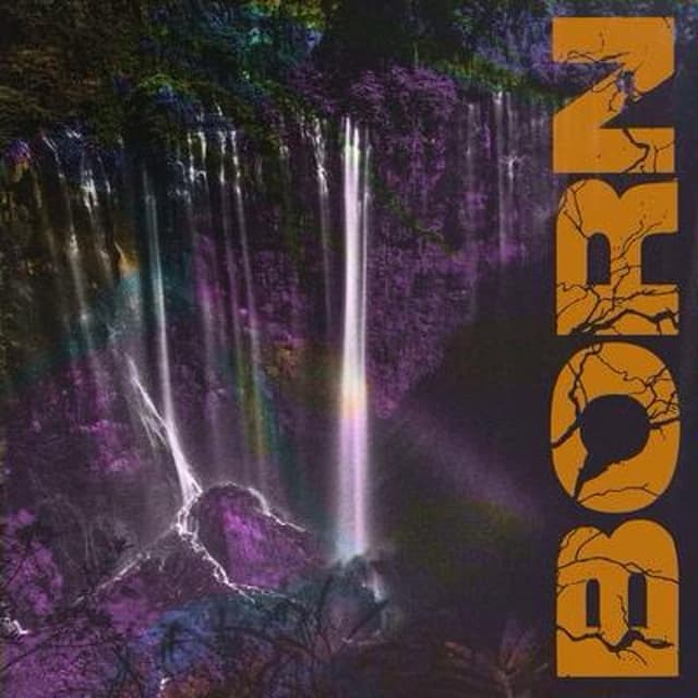 Album cover art for Born