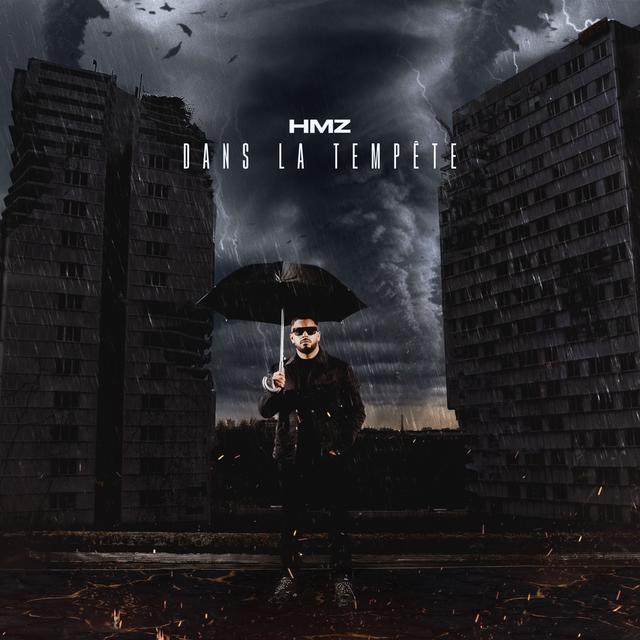Album cover art for Dans la tempête