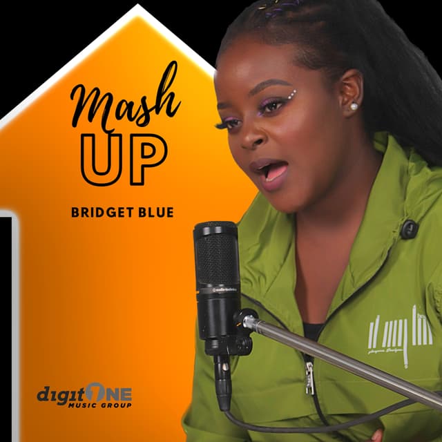 Album cover art for Mash Up