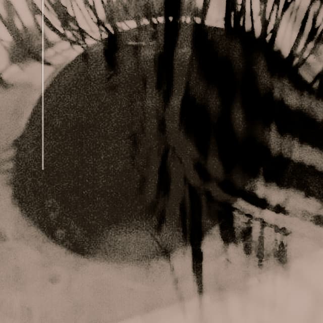 Album cover art for Evergray