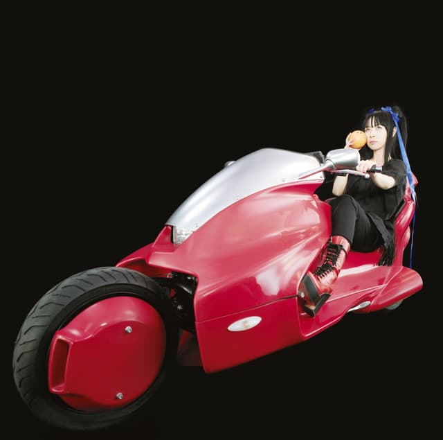 Album cover art for Ash Like Snow