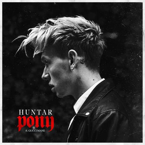 Album cover art for Pony