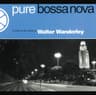 Summer Samba (So Nice)
