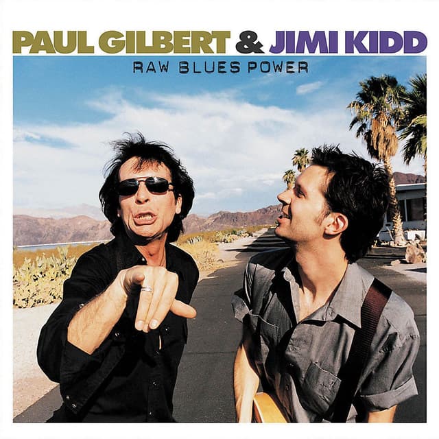 Album cover art for Raw Blues Power