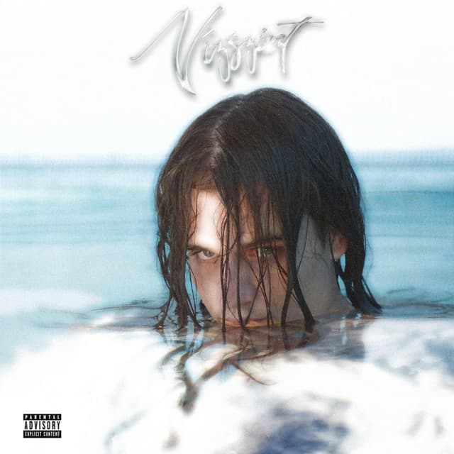 Album cover art for Vízszint