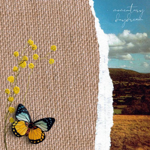 Album cover art for Momentary Daydream