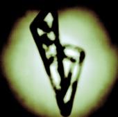 Album cover art for BACK ON MY FEET