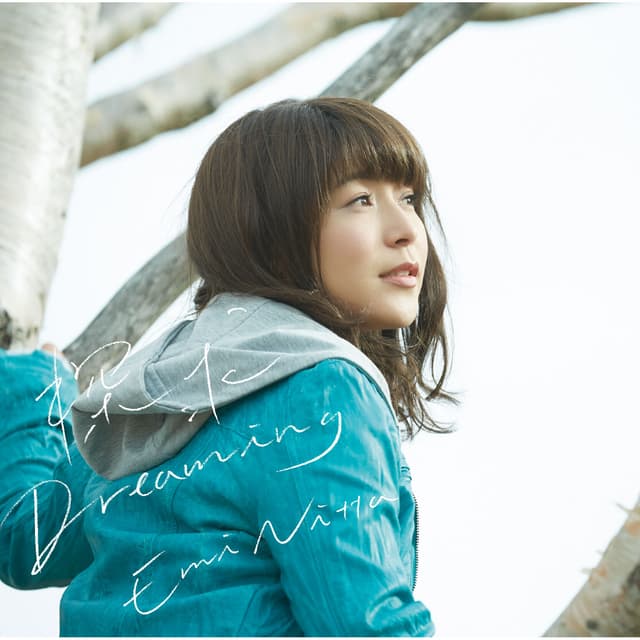 Album cover art for 探求Dreaming