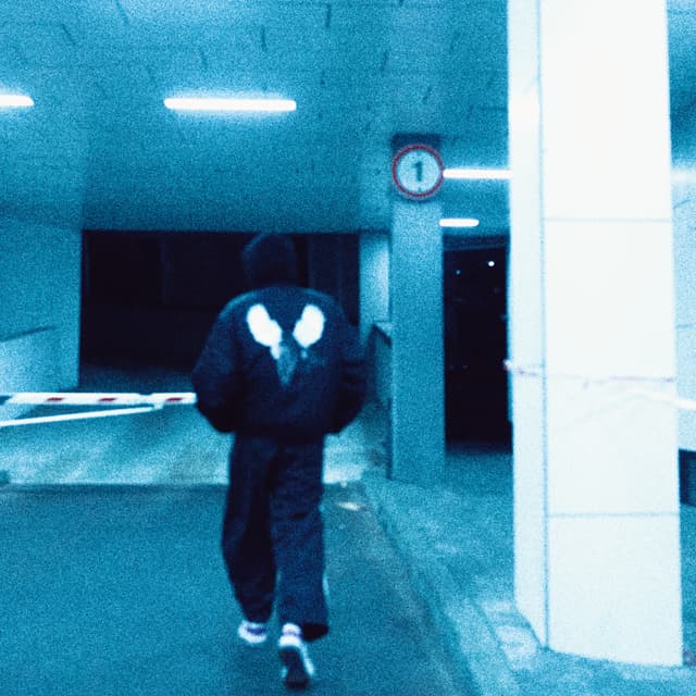 Album cover art for В серці і на спині