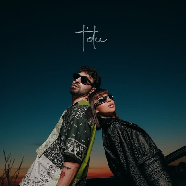 Album cover art for TDU