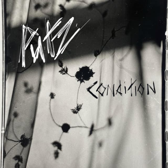Album cover art for Condition