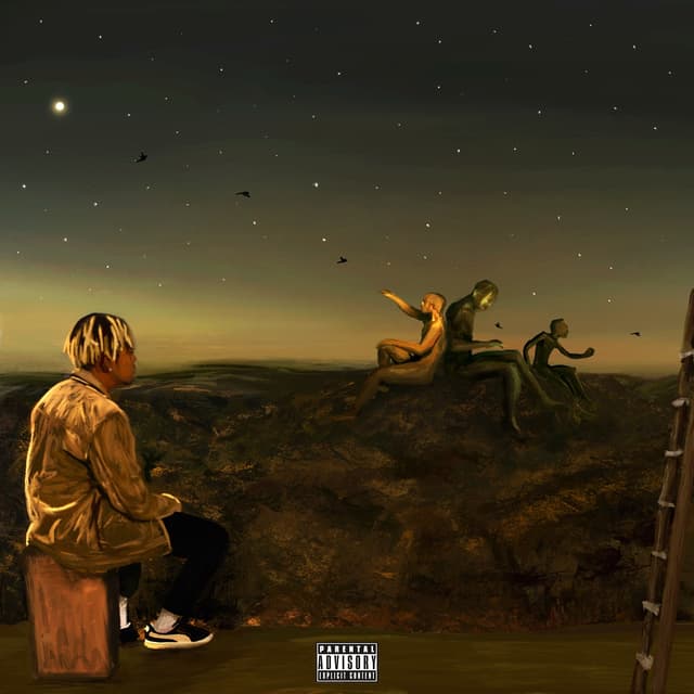 Album cover art for From a Birds Eye View