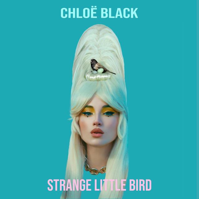 Album cover art for Strange Little Bird EP