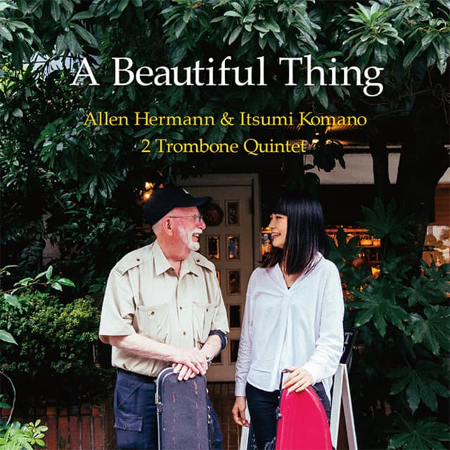 Album cover art for A Beautiful Thing