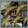 Canela