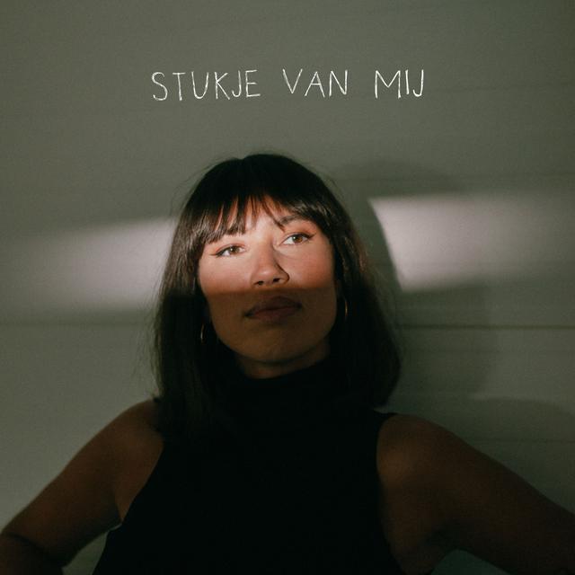 Album cover art for Stukje Van Mij