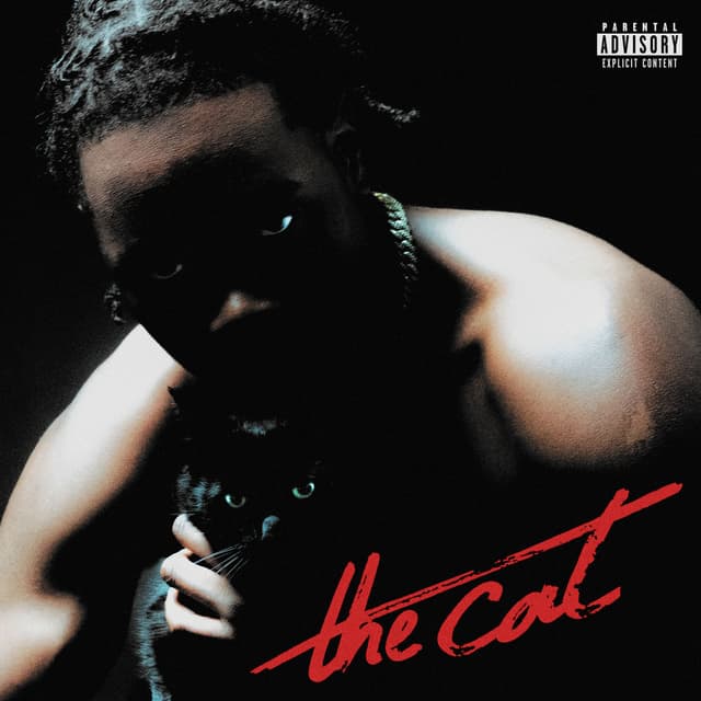Album cover art for The cat
