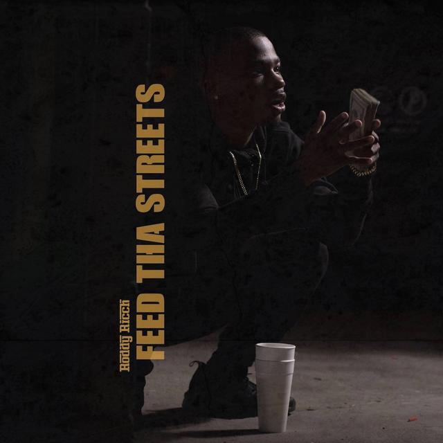 Album cover art for Feed Tha Streets