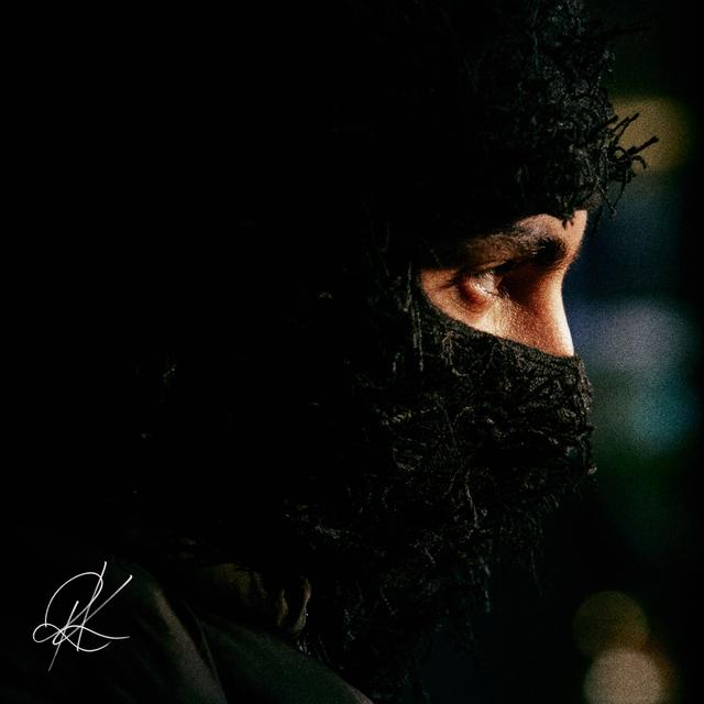 Album cover art for DLPDA