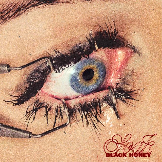 Album cover art for Soak