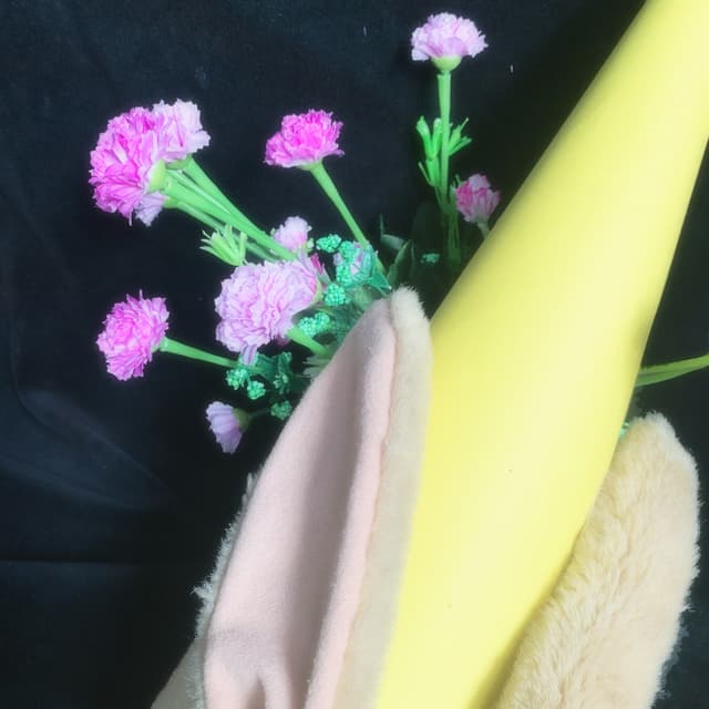 Album cover art for Just Like Kids (Miau)
