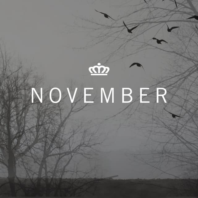 Album cover art for November