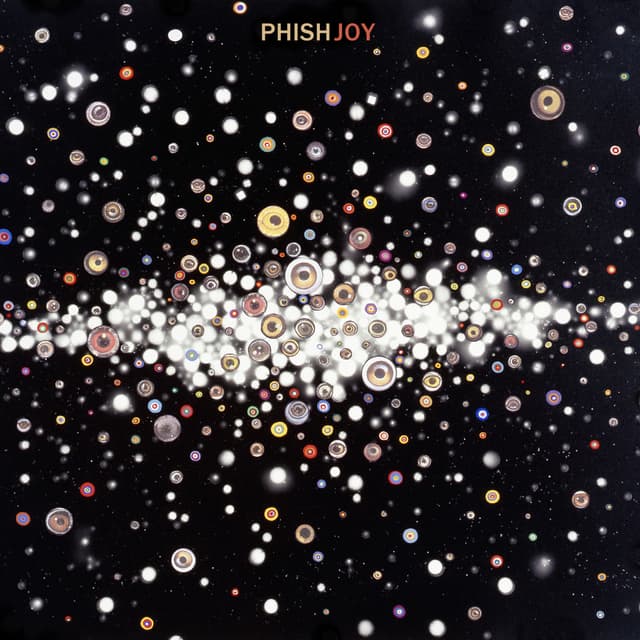 Album cover art for Joy