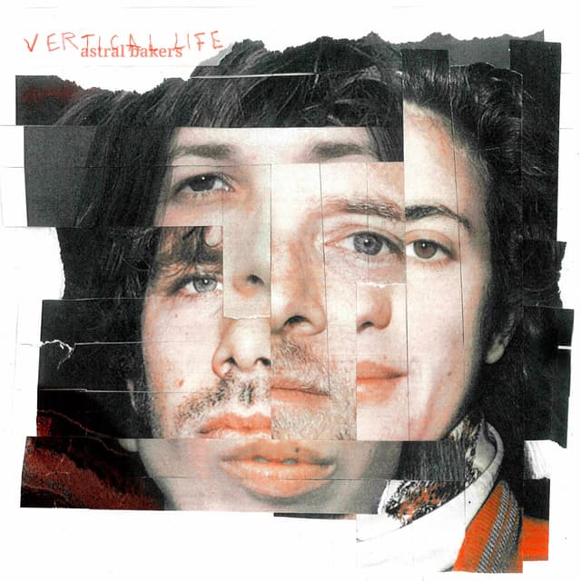 Album cover art for Vertical Life