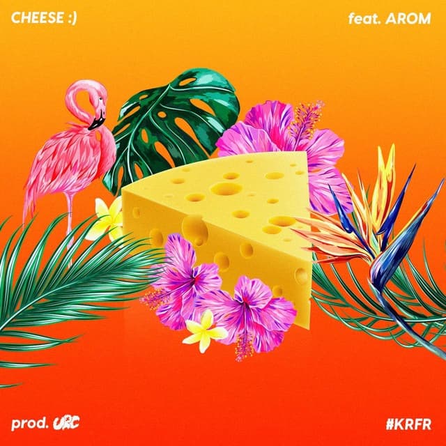 Album cover art for Cheese :)