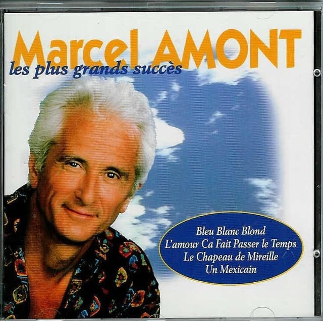 Album cover art for Les Plus Grands Succès