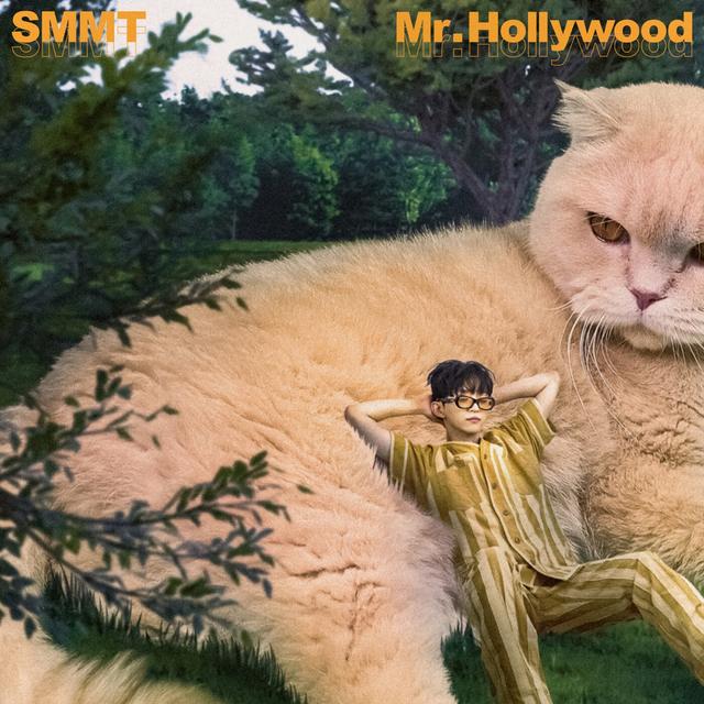 Album cover art for Mr. Hollywood