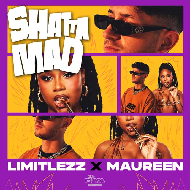 Album cover art for Shatta Mad