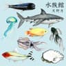 鮫 (aquarium ver.)