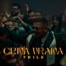 Crna vrana