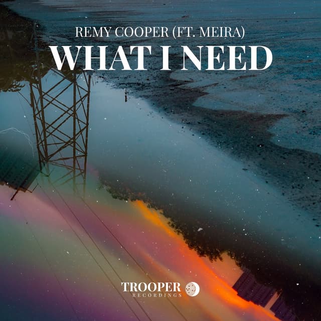 Album cover art for What I Need