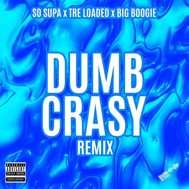 Album cover art for Dumb Crasy (Remix)