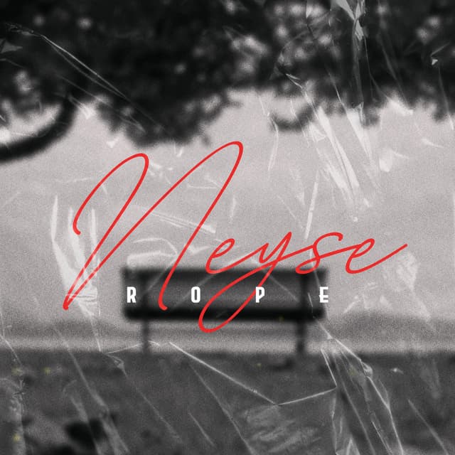 Album cover art for Neyse