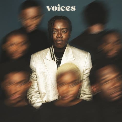 Album cover art for Voices