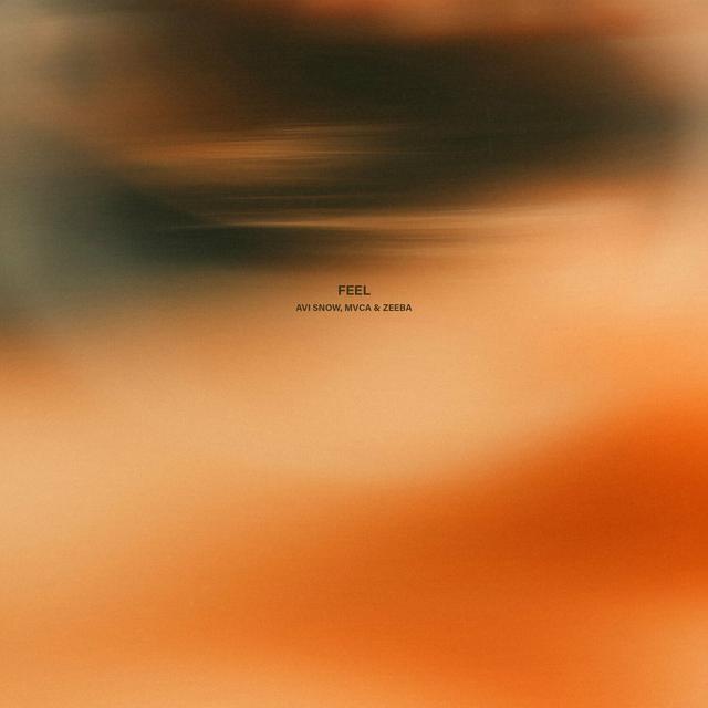 Album cover art for Feel