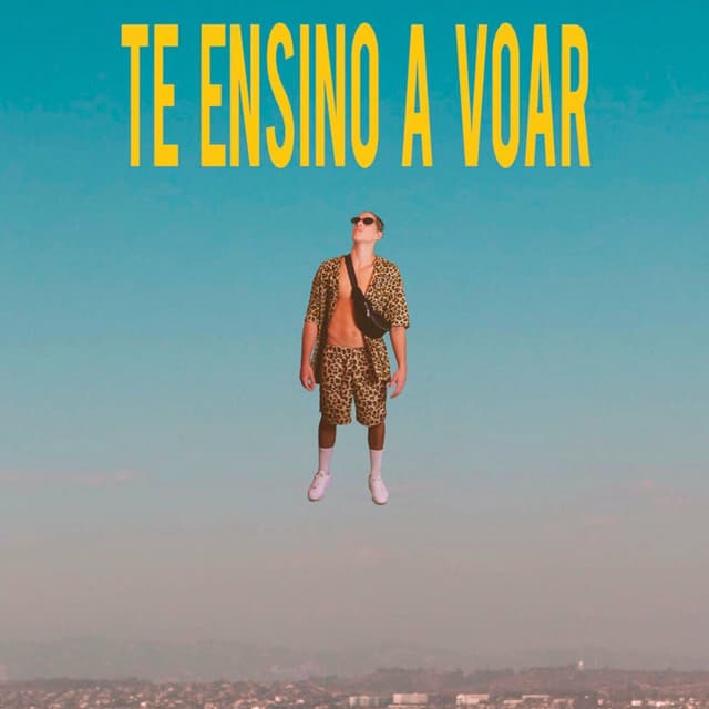Album cover art for Te Ensino a Voar