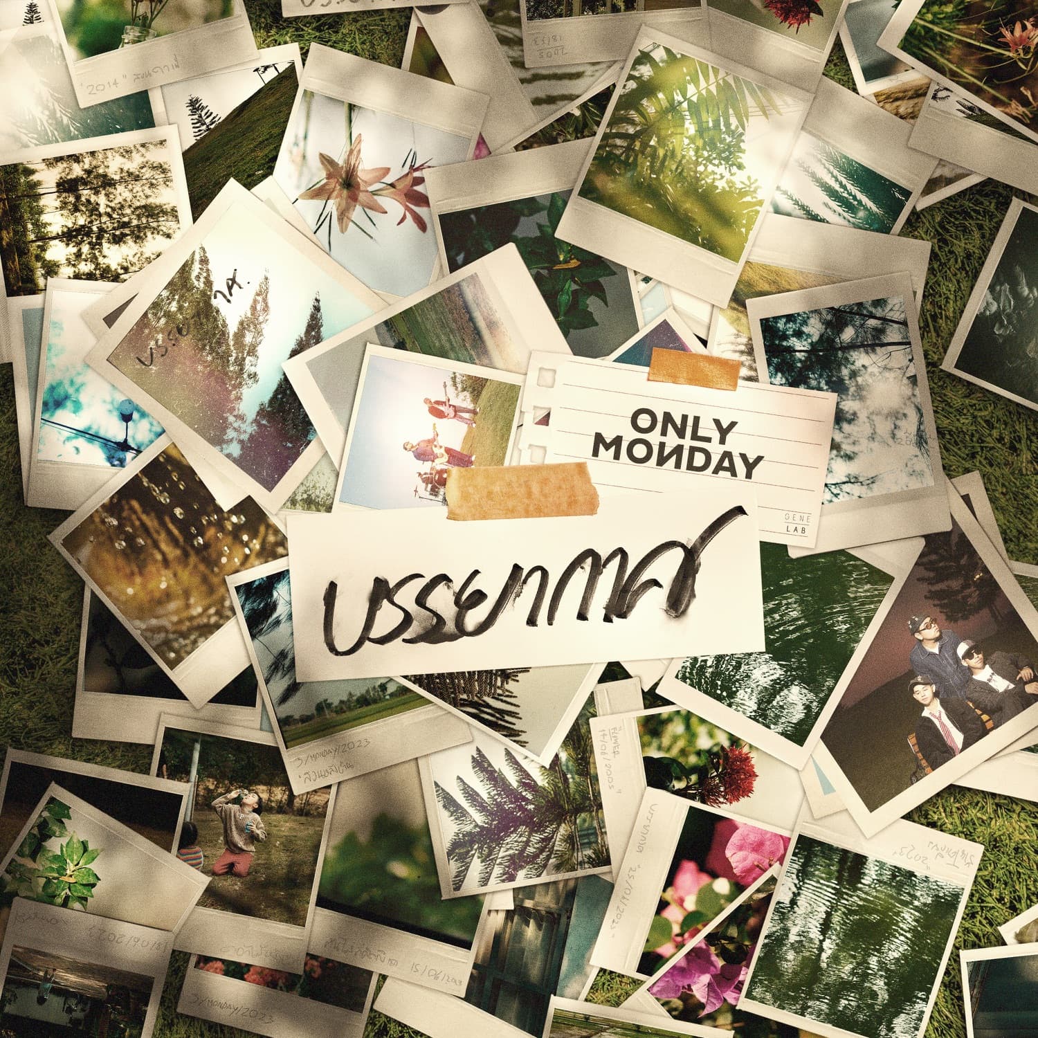 Lyric cover art
